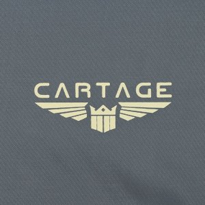 Термосумка Cartage Т-11, серая, 18 л, 35x21x24 см