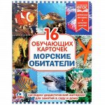 Карточки в папке &quot;Умка&quot; Морские обитатели, 16 карточек 22*17 см