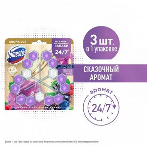 Блок для очищения унитаза Сказочный аромат Domestos Power 5 Aroma Lux 3 х 55 г