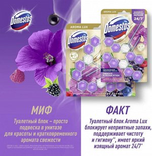 Блок для очищения унитаза Сказочный аромат Domestos Power 5 Aroma Lux 3 х 55 г