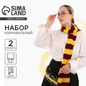 Карнавальный набор для магии «Юный волшебник»: очки, шарф