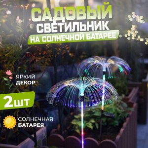 Набор садовых светильников на солнечной батарее "StarSolar", 2 шт.