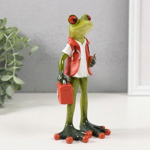 Фигурка полистоун лак «Лягуха-доктор», 8.8x6x16.2 см