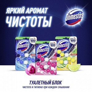 Шарики для унитаза очищающие Свежесть Лайма защита от микробов и налета туалетный блок Domestos Power 5 Duo 2 х 55 гр