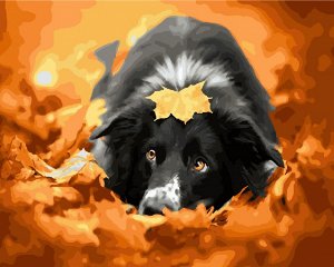 Картина для раскрашивания Собака в листве 40х50см / GX25852 /