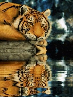 Картина для раскрашивания Тигр у воды 40х50см / GX26065 /