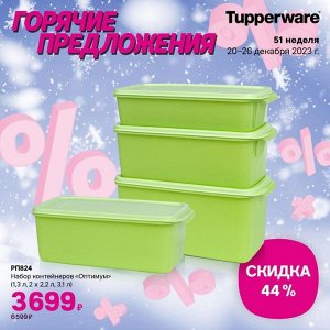 Набор контейнеров «Оптимум» (1,3 л, 2х2,2 л, 3,1 л)