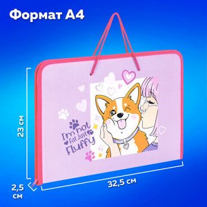 Папка для труда на молнии с ручками ПИФАГОР А4, 1 отделение, пластик, органайзер, "Fluffy akita", 272227