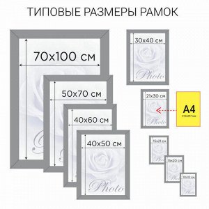 Рамка 21х30 см небьющаяся, КОМПЛЕКТ 3 шт., багет 20 мм дерево, BRAUBERG "Business", цвет светлое дерево, 391353