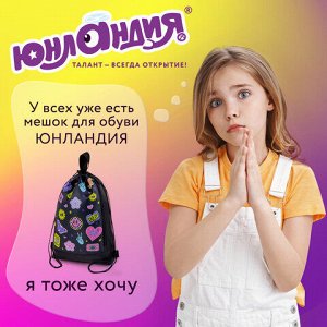 Мешок для обуви ЮНЛАНДИЯ с ручками, боковой карман на молнии, 46х36 см, "Patches", 272406