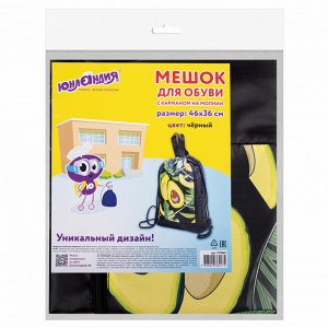 Мешок для обуви ЮНЛАНДИЯ с ручками, боковой карман на молнии, 46х36 см, Fresh, 271063