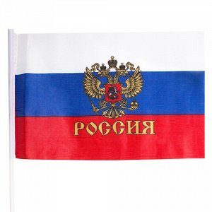 Флаг Россия 40*60 см