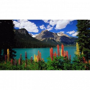 1000 элементов пазл Educa 14141 Изумрудное озеро Канадских гор