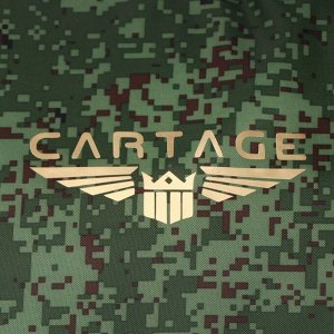 Термосумка Cartage Т-18, камуфляж пиксель, 18 л, 35x21x24 см