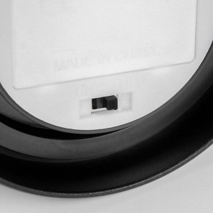 Фигурка светящаяся колба RISALUX «Гвоздики», LED-ночник, красный, 3xААА, 10.5x10.5x22 см