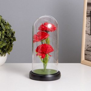 Фигурка светящаяся колба RISALUX «Гвоздики», LED-ночник, красный, 3xААА, 10.5x10.5x22 см