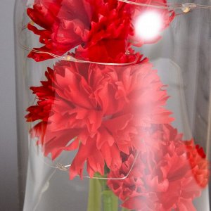 Фигурка светящаяся колба RISALUX «Гвоздики», LED-ночник, красный, 3xААА, 10.5x10.5x22 см
