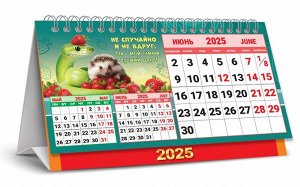 БОЛЬШОЙ настольный перекидной календарь-домик на 2025 год "Символ года. Богатством поделюсь"