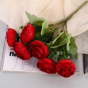 Букет «Камелия галант», 5x26 см, МИКС