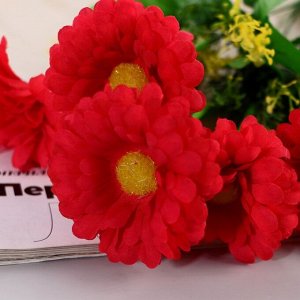 Букет «Цинния открытая», 6x34 см, МИКС