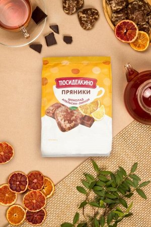Пряники ПОСИДЕЛКИНО 250г Шоколад,апельсиновые и лимонные цукаты1/15