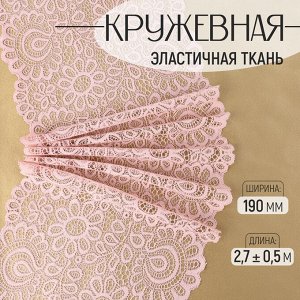 Кружевная эластичная ткань, 190 мм, 2.7±0.5 м, пудровая