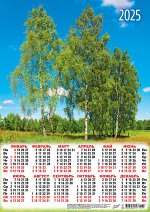 Листовой календарь на 2025 год А3 &quot;Природа. Нарядные берёзки&quot;