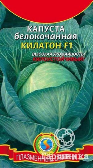 Капуста б/к Килатон F1 ЦВ/П (ПЛАЗМА)