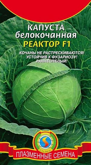 Капуста б/к Реактор F1 ЦВ/П (ПЛАЗМА)