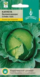 Капуста б/к Слава 1305 ЦВ/П (ПЛАЗМА) среднеспел.