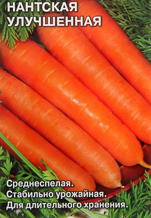 Морковь Нантская улучшенная ЦВ/П (ПЛАЗМА) среднеспелый