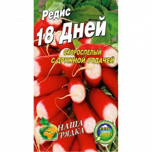 Редис 18 Дней 3г Б/П (ПЛАЗМА) РЭМ Раннеспелый