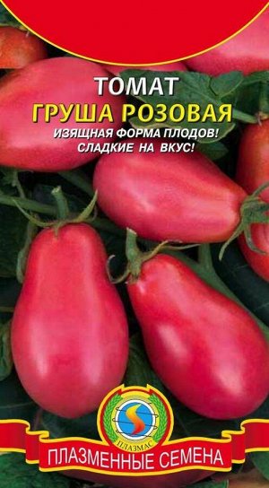 Томат Груша розовая ЦВ/П (ПЛАЗМА) среднеспелый 135 - 150 см