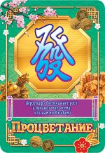 Карманный календарь 2025 &quot;Фэншуй&quot;