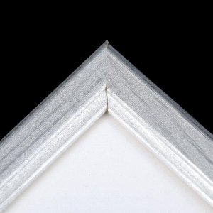 Фоторамка 15х20 см (7N68) серебро