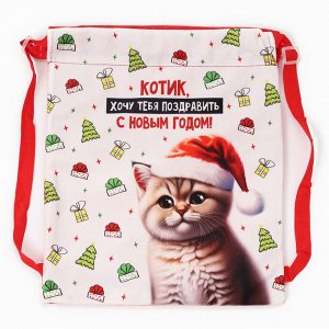 Рюкзак - мешок детский новогодний «Котик в шапке», 35x30 см