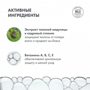 Шампунь для всех типов волос Объем и уход Натура Сиберика Дой-пак(сменный блок) 500 мл Natura Siberica