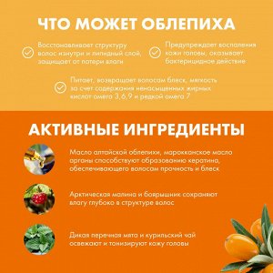 Шампунь для нормальных и жирных волос облепиховый Натура Сиберика Дой-пак(сменный блок) 500 мл Natura Siberica
