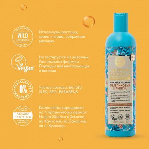 Шампунь для нормальных и сухих волос облепиховый Натура Сиберика 400 мл Natura Siberica