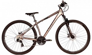 Велосипед CONNOR GOLIAF 29" C18B218-29 (серый)