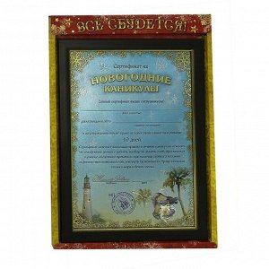 Сертификат в рамке "Новогодние каникулы"