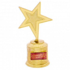 Звезда награда "Лучший музыкант"