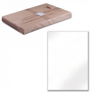 Белый картон А3 100 листов, 290г/м2, BRAUBERG, 297х420мм, 12