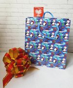 Пакет подарочный 21*18*9см