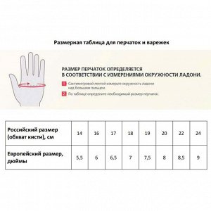 Размерная сетка