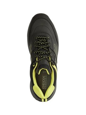 Кроссовки Geox