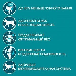 Влажный корм Purina ONE для взрослых кошек, с говядиной и морковью, пауч, 75г