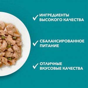 Влажный корм Purina ONE для взрослых кошек, с говядиной и морковью, пауч, 75г