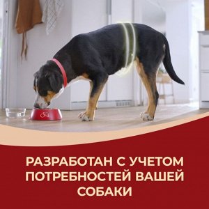 Корм для собак Purina ONE® для взрослых собак средних и крупных пород, с высоким содержанием ягненка и рисом, 3,8 кг