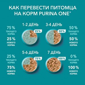 Влажный корм Purina ONE для взрослых кошек, с говядиной и морковью, пауч, 75г